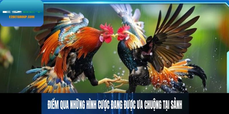 Điểm qua những hình thức cược đang được ưa chuộng tại sảnh