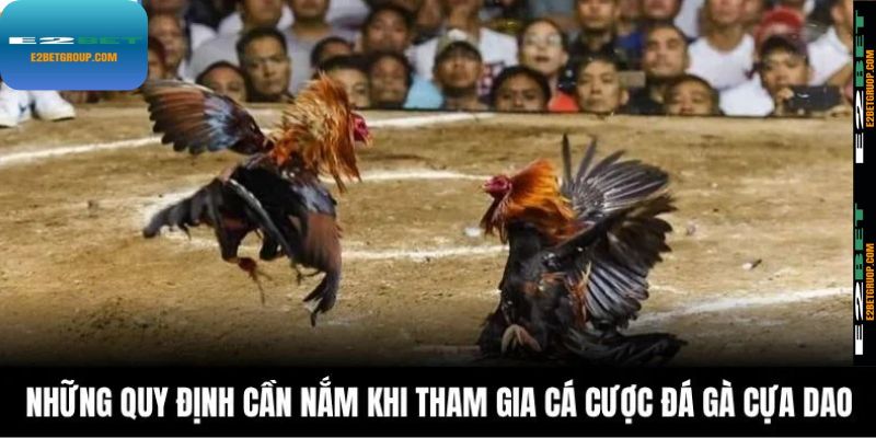 Những quy định cần nắm khi tham gia cá cược gà đá cựa dao