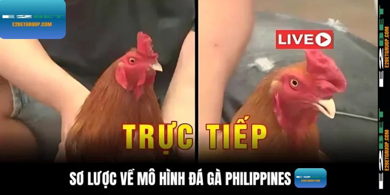 Sơ lược về mô hình đá gà Philippines tại E2BET