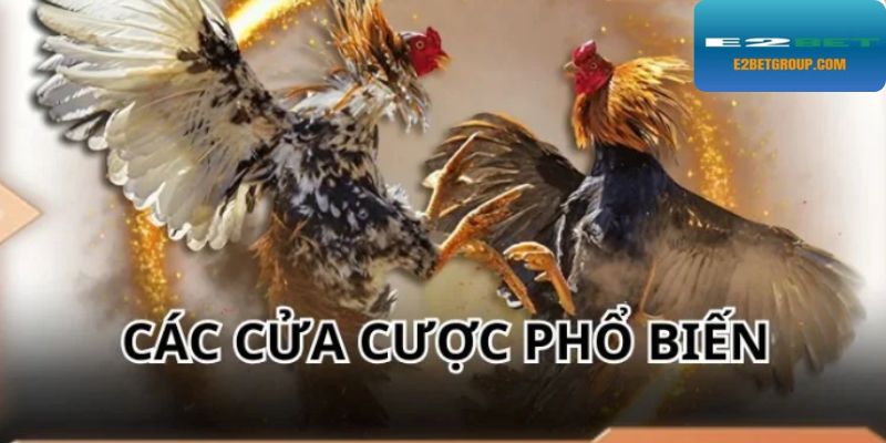 Một vài dòng kèo thường gặp trong trận đấu