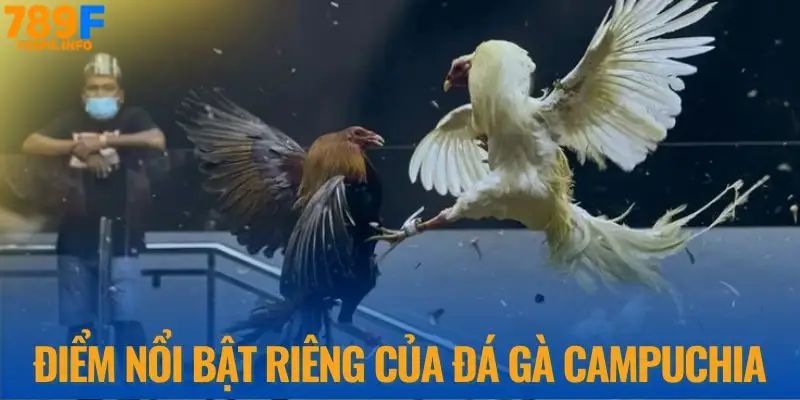 Ưu điểm luôn cuốn hút giới kê thủ